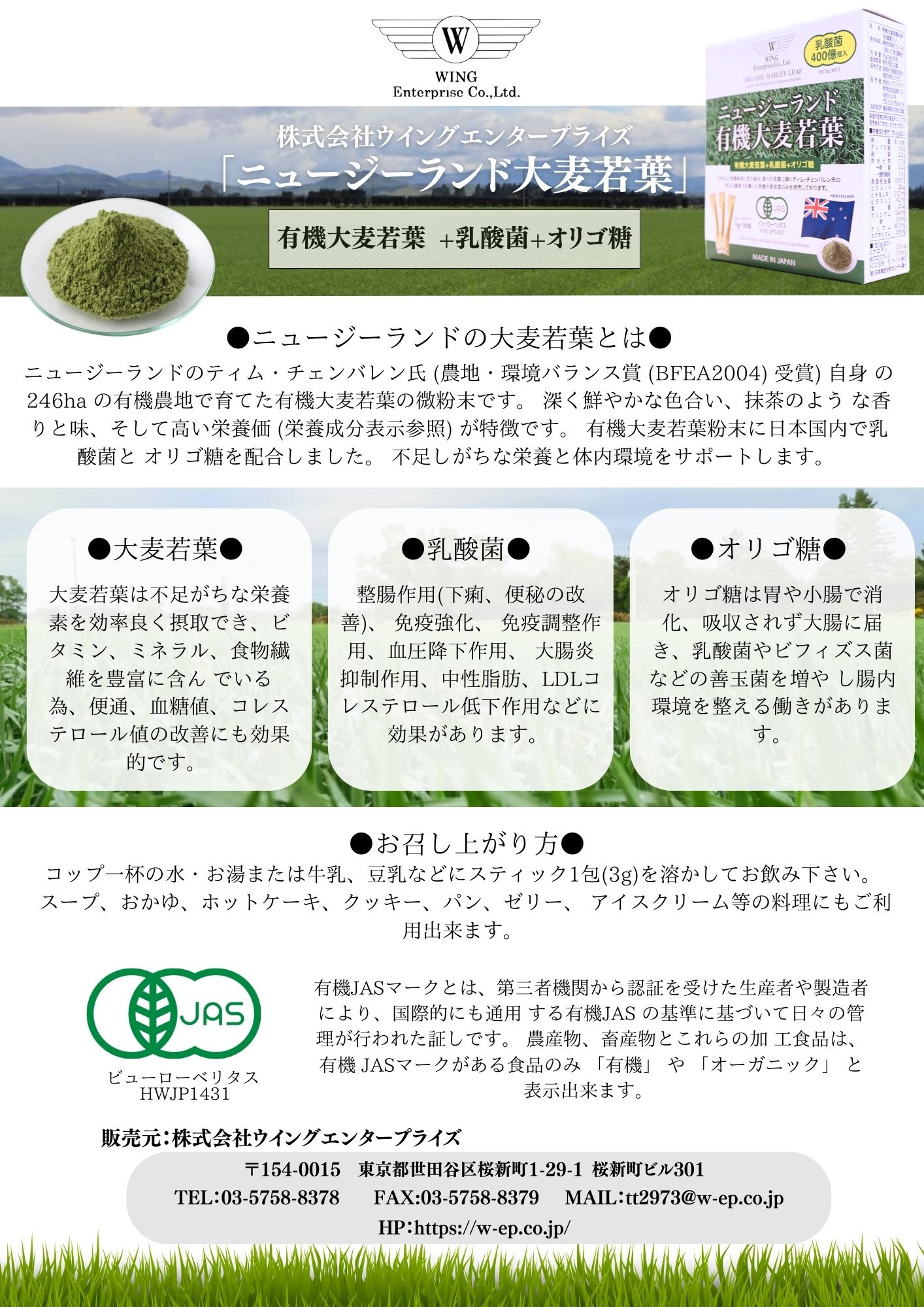 大麦若葉チラシ
